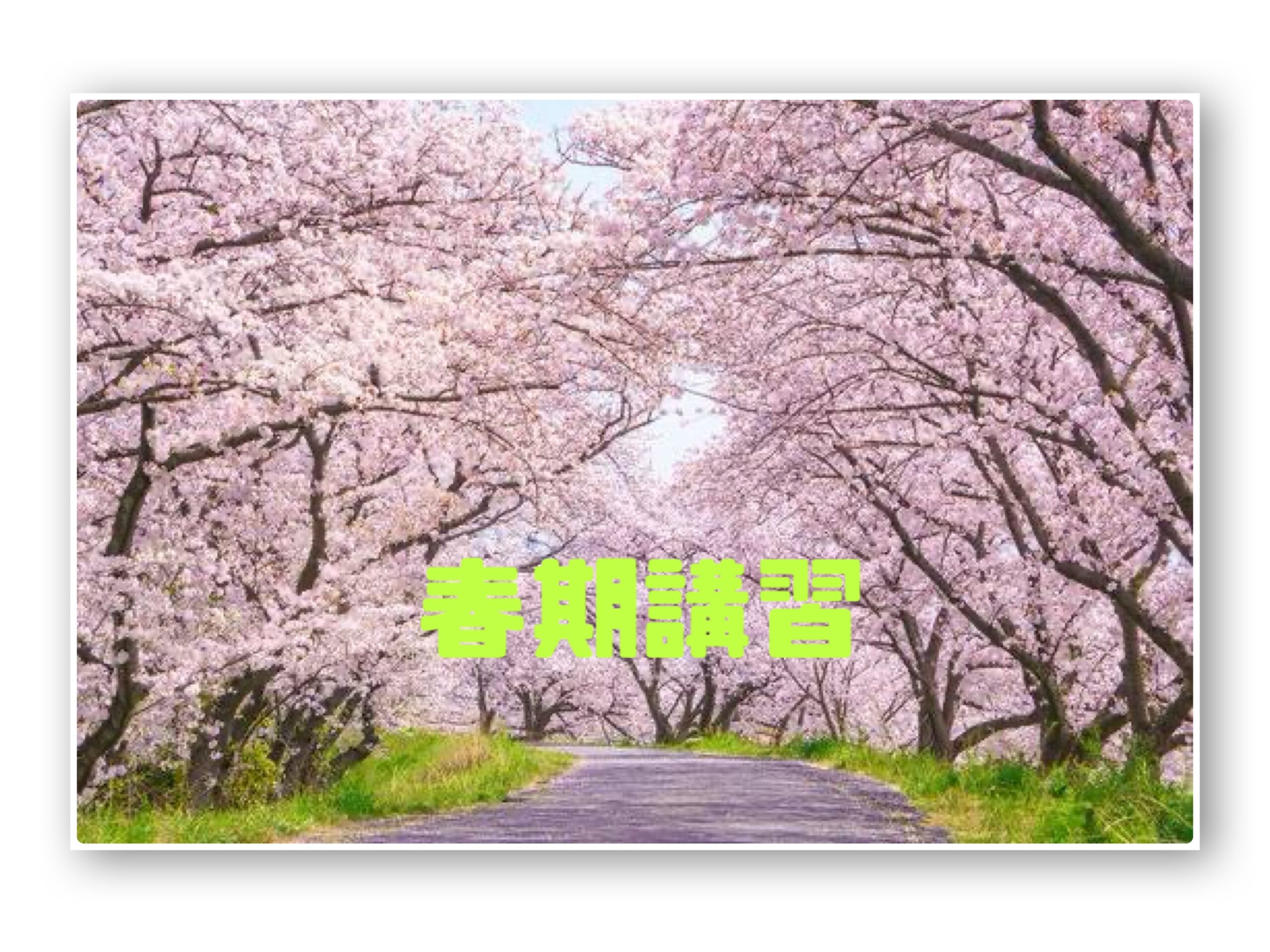🌸春期講習🌸