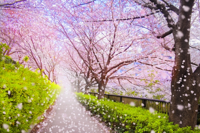 玉名教室の春期講習始まるよ😊