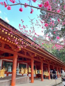 🌸春期講習スタート！新学年で差をつけろ！🌸