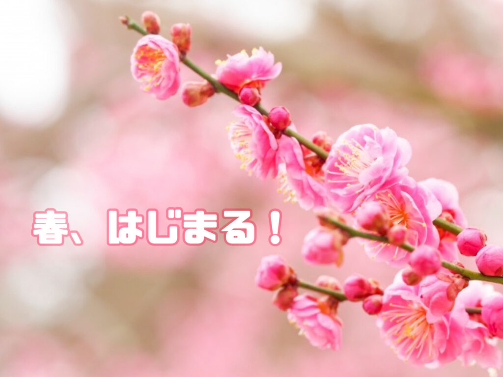 春、新しい一歩を一緒に。合志教室