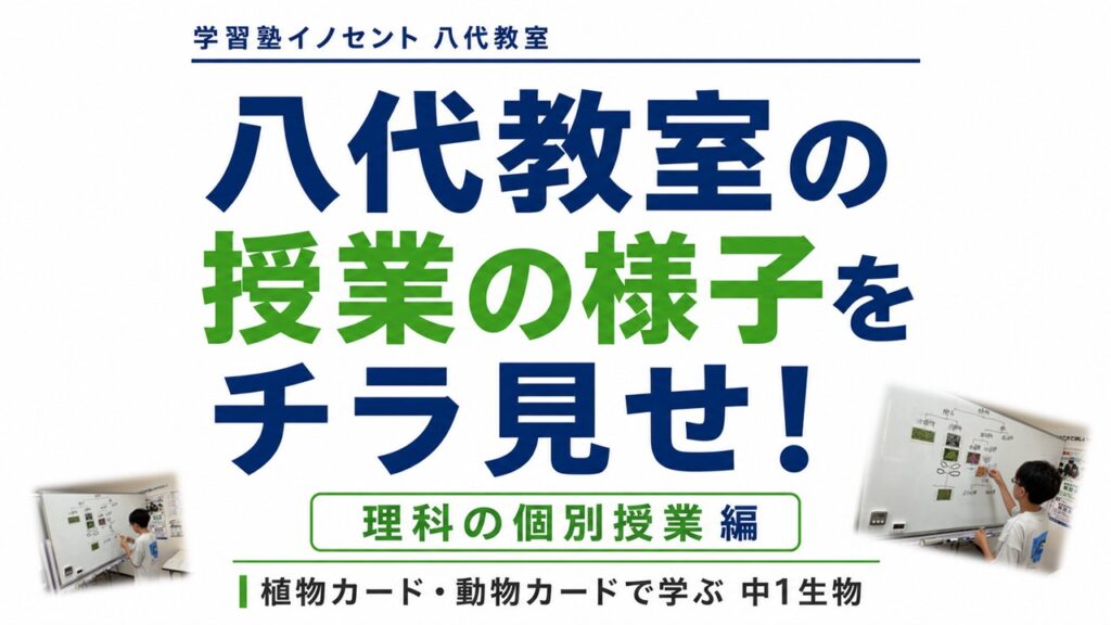 八代教室の授業の様子をチラ見せ！