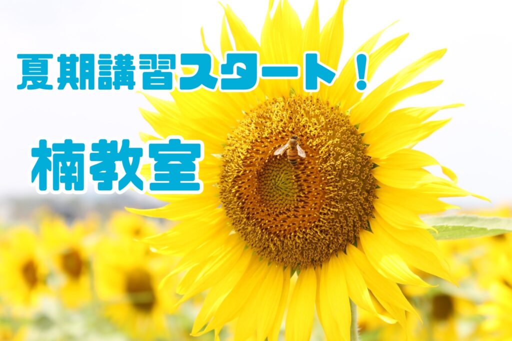 夏期講習始まりました✨