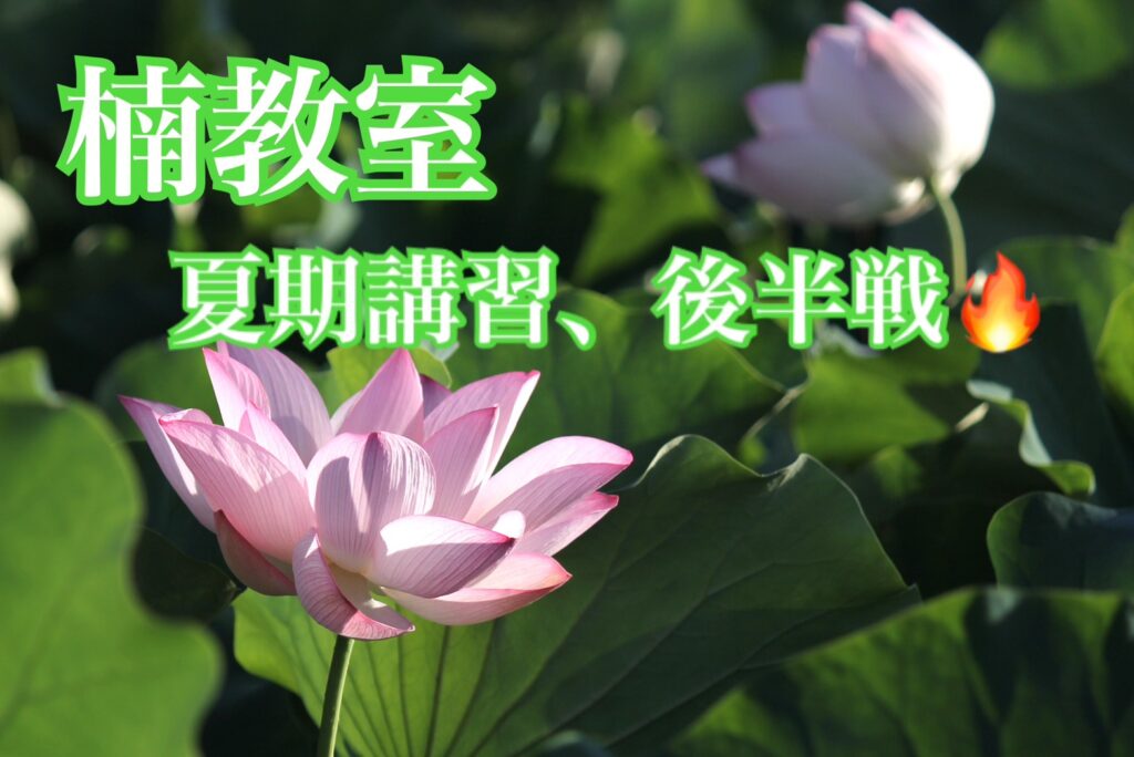 【楠教室】夏期講習、後半戦スタート🔥